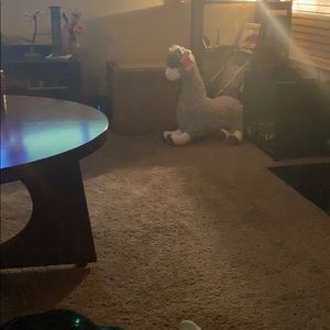 Meet your Posher, Lynette